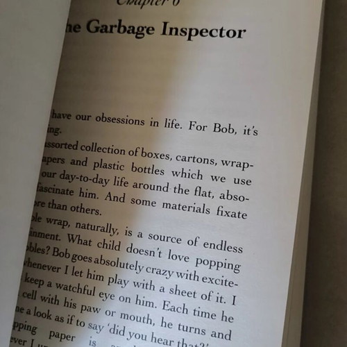 The World According to Bob by James Bowen
