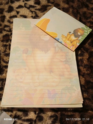 Correspondence used, 1 folder with set sheets
