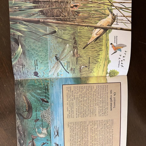 Children's book Ta Spitia Ton Zoon used, Greek