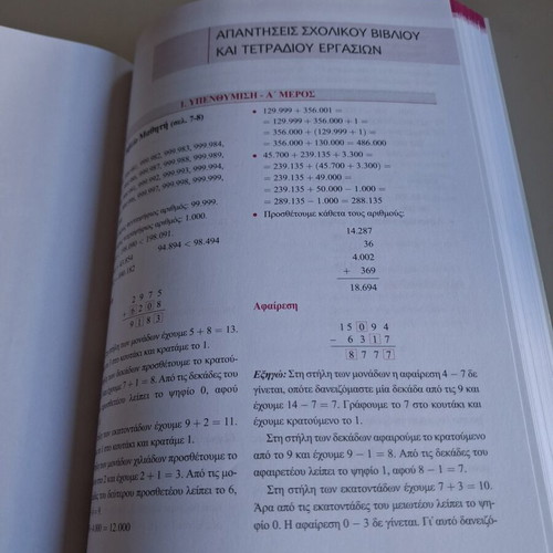 Savvalas Mathematics Grade 5 textbook like new