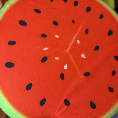 Decorative Fruit Pillows like new, watermelon, lime, and wood designs