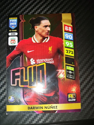 Fifa 365 2025 Fluo Nunez σε άριστη κατάσταση