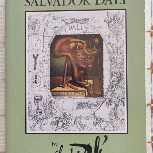 The Secret Life of Salvador Dalí book slightly worn