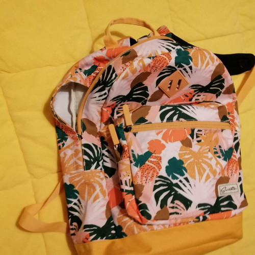 Santos backpack with reinforced back like new