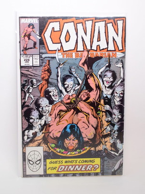 Conan the Barbarian #228 used comic Marvel Comics 1990