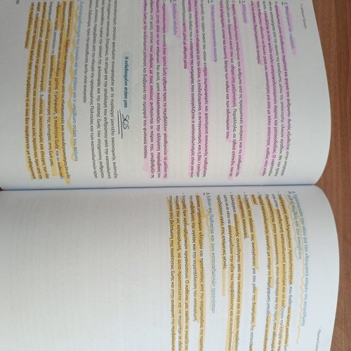 Nea Ellinika G Lykeiou Essay Guide with Solutions used