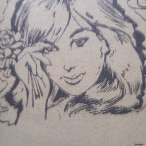 Fantasia magazine used