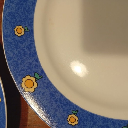 Primerose Fine Porcelain dinner plates set of 5 vintage floral design like new
