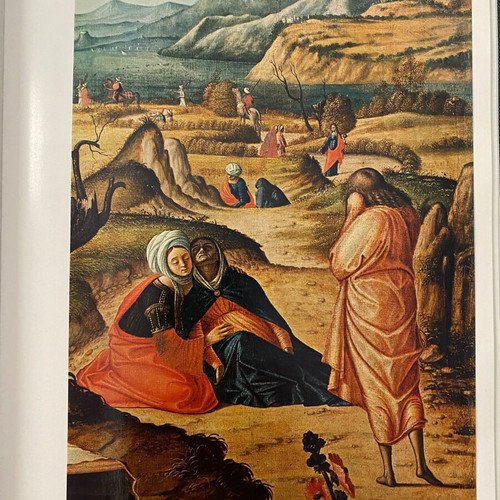 Carpaccio Paintings and Drawings Complete Edition art book
