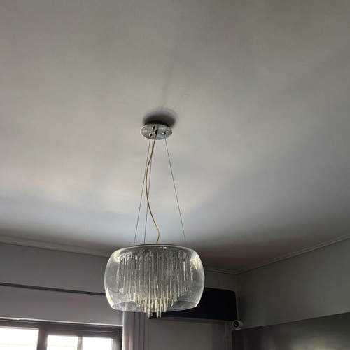 Pendant light with transparent glass shade and decorative rods