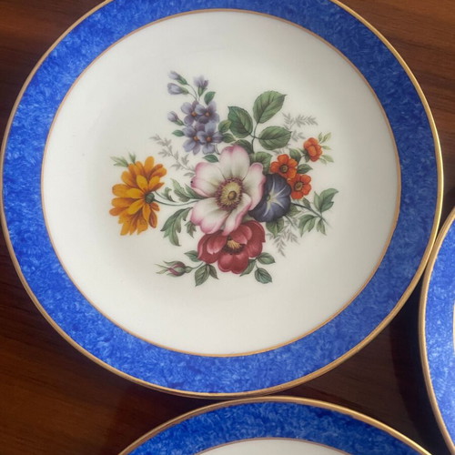 Scherzer Bavaria porcelain plate set cobalt blue floral mint condition