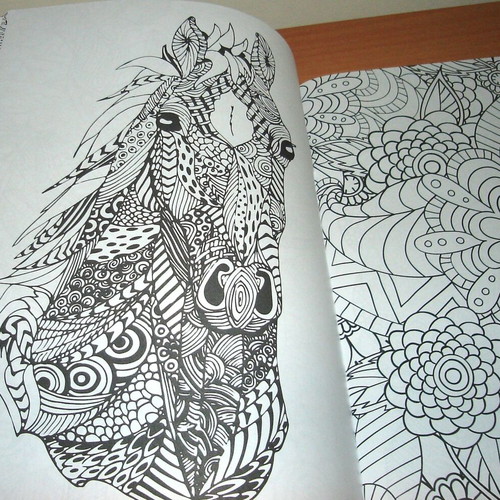 Anti-Stress Coloring Book for Children and Adults like new