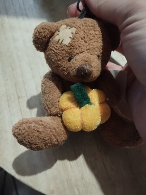 Halloween hanging teddy bear used from America