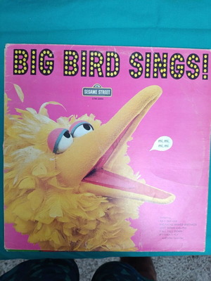 Big Bird Sings! δίσκος βινυλίου σαν καινούργιος