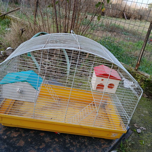 Hamster cage used with houses, water bottle and ladder
