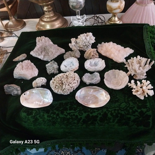 Coral and rock collection used, pack