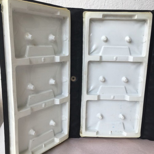 Cassette case with 12 slots handheld