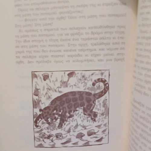 Stories of the Virgin Forest used, softcover, Patakis editions