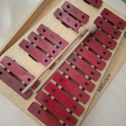 Xylophone Philippos Nakas with protective case and carrying bag
