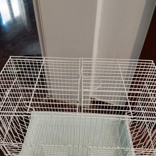 Large bird cage used, metal 47×23×38 cm