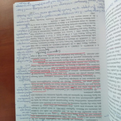 Palaeo-Christian Art used book with notes