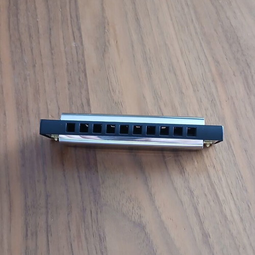 Diatonic Harmonica 10 Holes New with Case