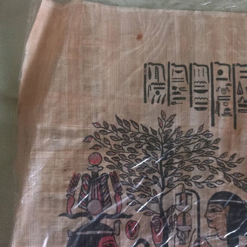 Papyrus from Egypt used
