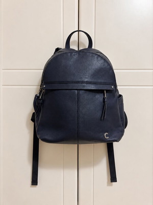 Caprisa blue backpack used with visible wear