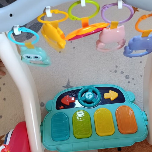 Ludi 3 in 1 Activity Gym and Walker New in Box