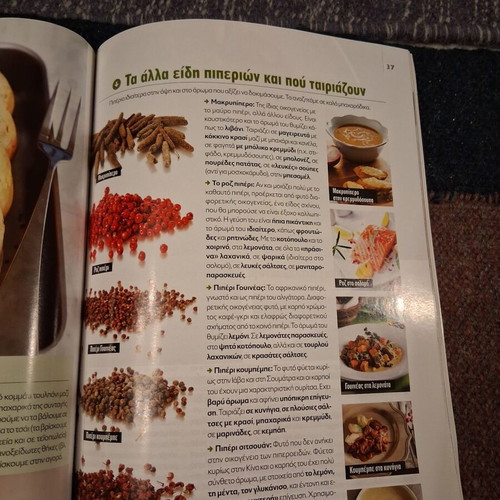Cooking with Spices cookbook, Gastronomos