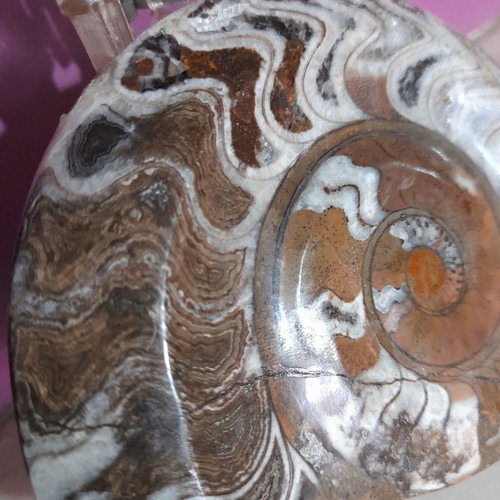 Ammonite fossil used, polished 11 cm with stand
