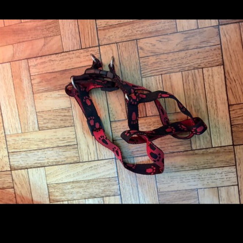Dog harness new, unused