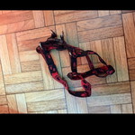 Dog harness new, unused