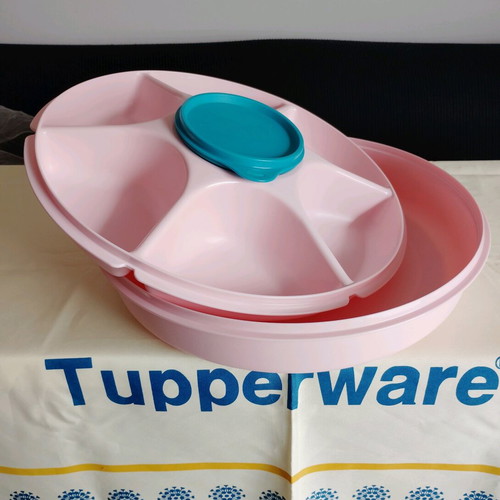 Large Party Server new with lid and multiple compartments