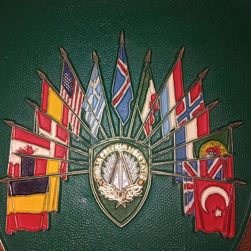NATO country flags shield used, large