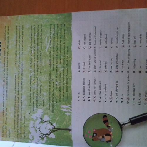 English Book Preparation for ESB C2 Teacher's like new
