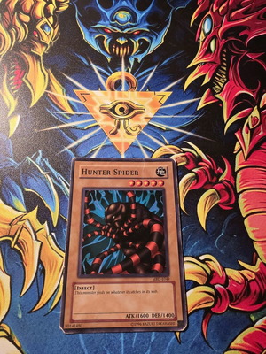 Hunter Spider Yu-Gi-Oh! card used