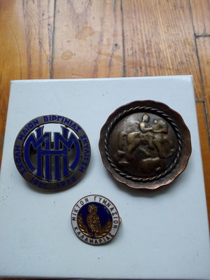 Commemorative pins used, bronze and silver with enamel