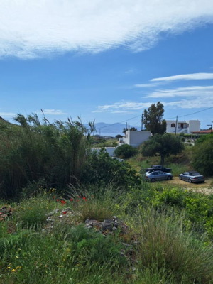 Οικόπεδο 560 τμ στη Νάξο, οικοδομήσιμο με θέα θάλασσα