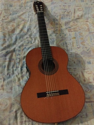 Alhambra Iberia 50th Anniversary Electro-Classical Guitar used with case