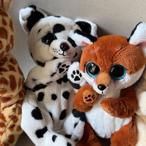 Set of 5 used Ty dolls