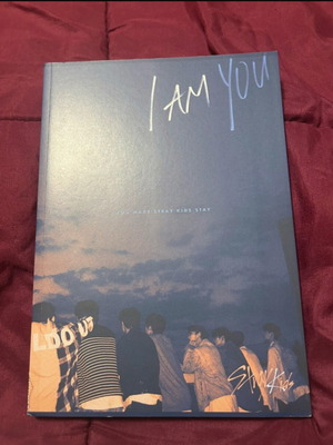 Stray Kids albums like new, I Am You and I Am Who with CD and photobook