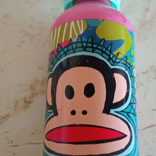 Paul Frank insulated bottle used with signs of wear