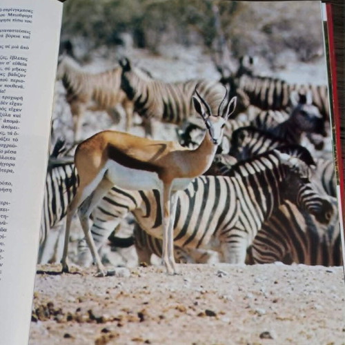 Safari in Africa encyclopedia set like new, 6 volumes