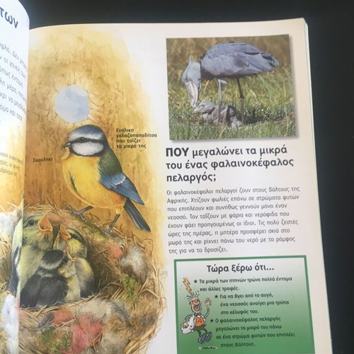 Ti Pou Giati children's book used, questions and answers about nature