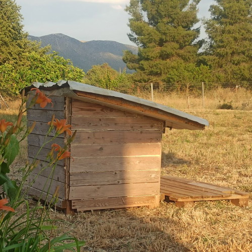 Custom wooden dog house with panel roof and removable veranda