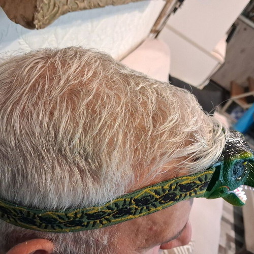 Dinosaur Headlamp with Sounds like new