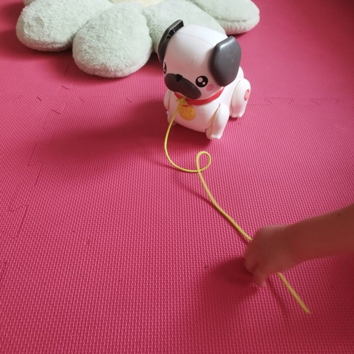 Fisher Price Pug Pull Toy with Sounds