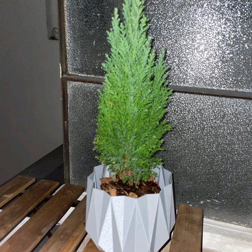 Plant pot new
