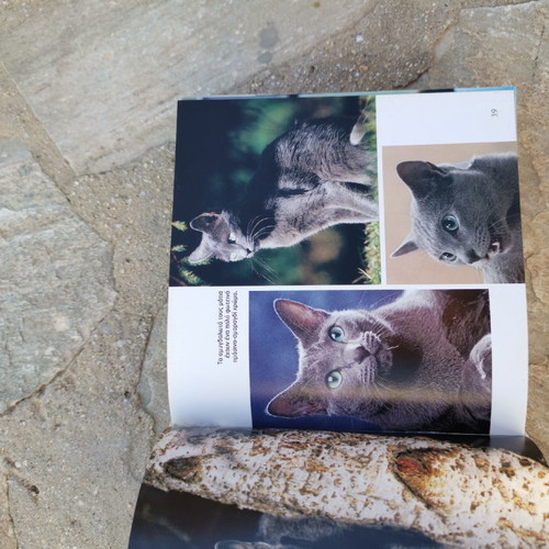 Book 1001 Cats without damage